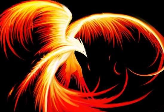fiery phoenix